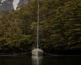 Voilier ancré dans un fjord, entouré d'une forêt dense. La chaîne du cablot, avec son épissure à 3 torons, assure la stabilité.