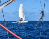 Un catamaran blanc navigue sur l'océan bleu. La durée de la traversée de l'Atlantique en bateau est longue, mais la beauté du voyage est inestimable.