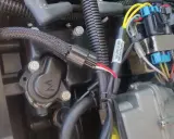 Détail du câblage d'un moteur Mercury 50cv 4 temps. Fiche technique visible sur un câble.
